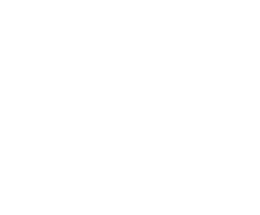 Connect Icon