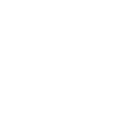 RSS Icon