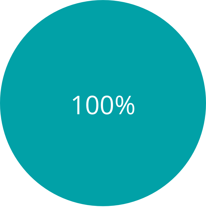 Pie Chart 100%