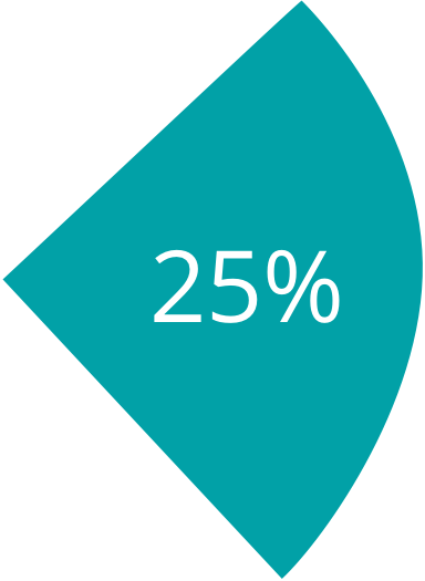 Pie Chart 25%