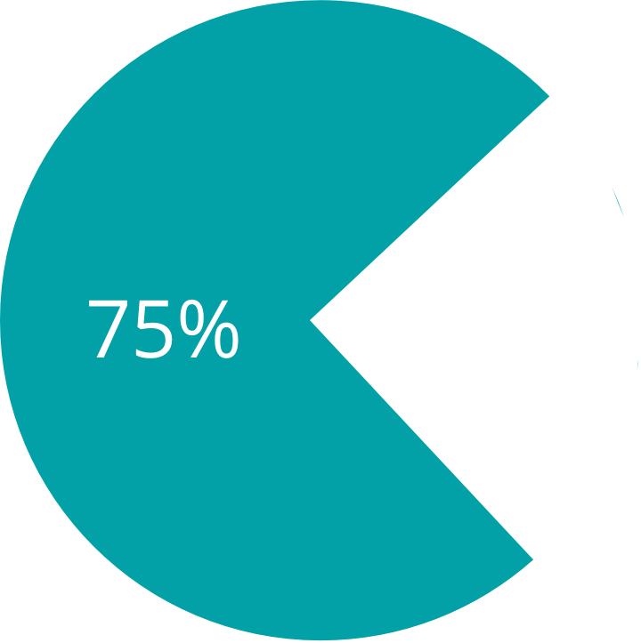 Pie Chart 75%